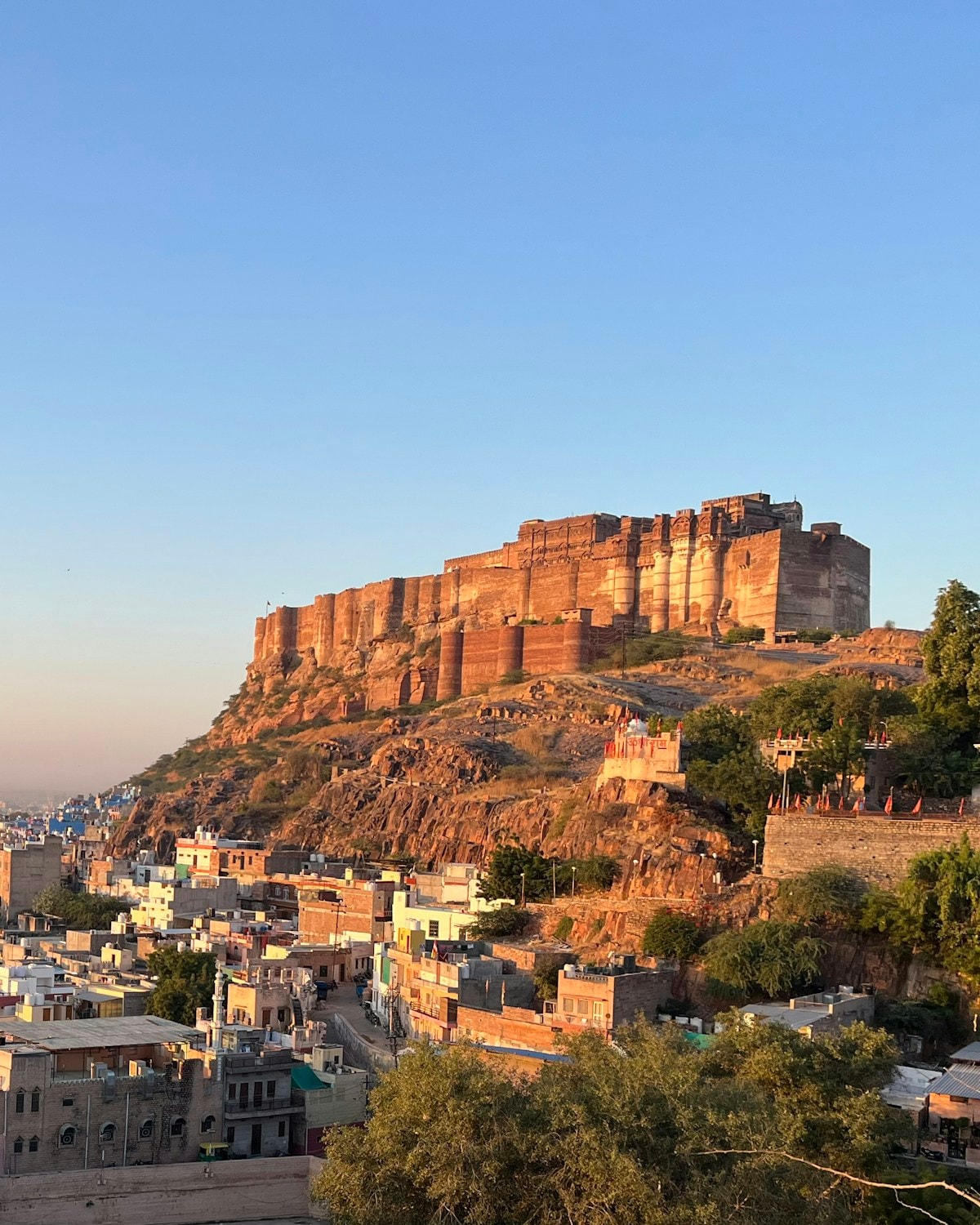 17 Seater Force Urbania Rental India: Ultimate Guide for Large Groups